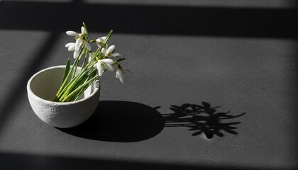 A bowl of snowdrop flowers casts a shadow on a dark surface.