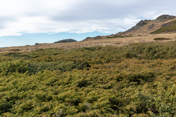 Fototapeta premium Landscape of Vitosha Mountain near Kamen Del peak, Bulgaria