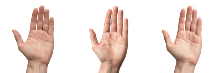 Hand showing open palm facing upward close-up isolated on white background, human hand signaling offering, asking, or presenting, hand communication, body language, hand posture, hand expression, fing