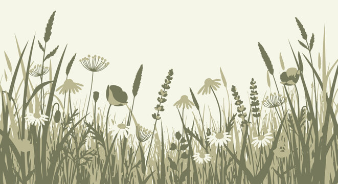 Wildflowers and Grasses in Field Illustration.