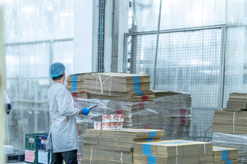 Back view of male warehouse worker checking cardboard box inventory. Logistics manager in...