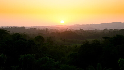 Fototapeta premium Serene horizon sunset shining across jungle trees