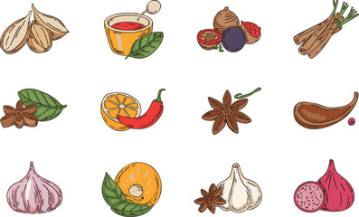 Various spices and ingredients isolated on black background, colorful illustration.