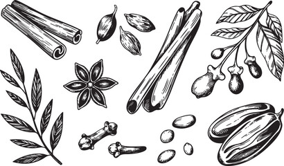 Hand-drawn illustration of assorted spices including cinnamon and star anise.