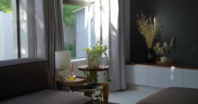 Sunlight is shifting as sun moves, moving bright patches and lighting pothos on wood stand