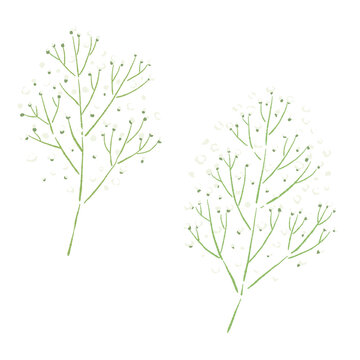 Delicate White Baby's Breath Sprigs for Floral Decoration