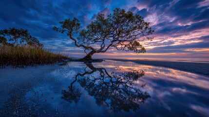 Tranquil tree reflecting in water under a dramatic twilight sky at dusk
