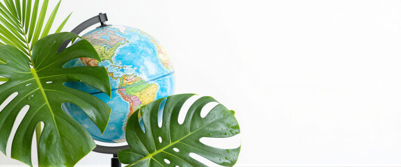 Green monstera and palm leaves with water drops surrounding a globe on white background for environmental protection concept and global sustainability