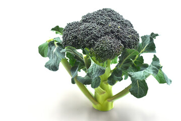 ブロッコリー © WABISUKE