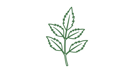 A simple green leaf illustration on a white background.