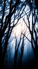 Obraz premium Tall, leafless trees form a blue, misty forest with pale light seeping between trunks. A calm blue hush. dusk
