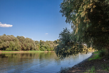 Obraz premium Panoramic view of the Tamis (Timis) River near Sefkerin in Vojvodina, Serbia, showing calm water, a tree lined riverbank, green shoreline and reflections in a quiet rural landscape.