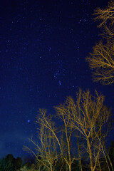 Night Sky Over Natural Bridge, Alabama