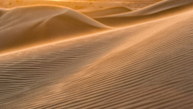 Golden Spindrift on Sand Dunes Algodones California