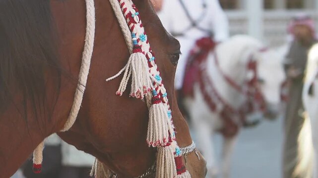 Close up cinematic shot of traditional horse bridle with intricate beadwork and tassels, slow motion footage of a beautiful brown horse standing still with blurred background riders