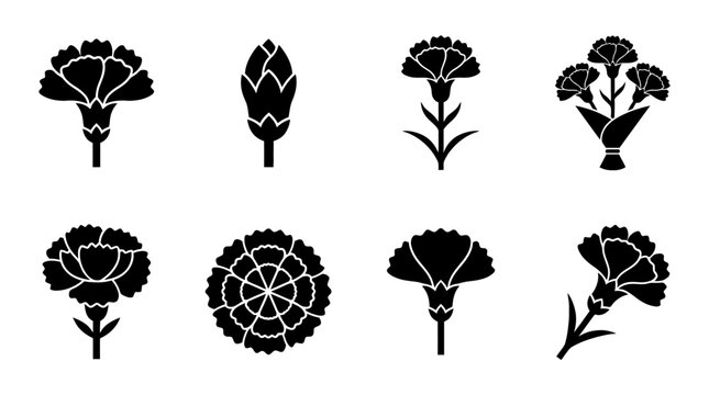 carnation , black vector icon set collection , white background , SVG and PNG