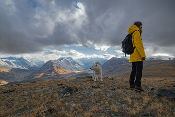 Fototapeta premium Woman traveler in yellow jacket with backpack and white dog standing on mountain top in Mongolia, scenic view of snow peaks and valley under dramatic clouds, hiking and adventure concept