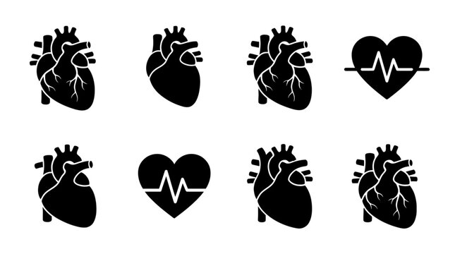 heart organ , black vector icon set collection , white background , SVG and PNG