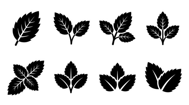 mint leaf , black vector icon set collection , white background , SVG and PNG