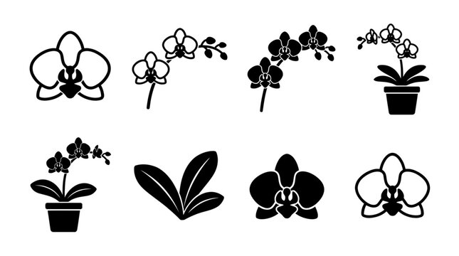 orchid , black vector icon set collection , white background , SVG and PNG