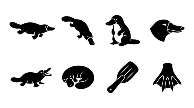 platypus , black vector icon set collection , white background , SVG and PNG