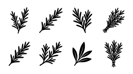 rosemary , black vector icon set collection , white background , SVG and PNG