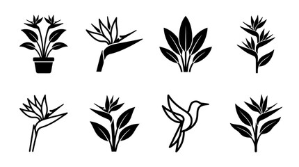 bird of paradise , black vector icon set collection , white background , SVG and PNG