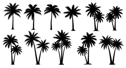 Obraz premium Silhouettes of multiple palm trees against a white background.