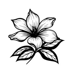 Obraz premium Black and white illustration of a flower with leaves from a close-up viewpoint