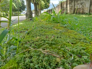 Obraz premium The image shows a large collection of women's swimwear and underwear in various styles, colors, and patterns stacked or hung together. These products include bikinis, n