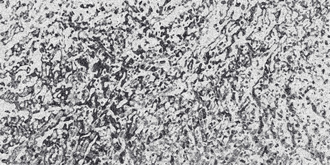 Detailed monochrome abstract texture with a dense network of irregular shapes and a grainy surface, suitable for backgrounds or artistic overlays in design