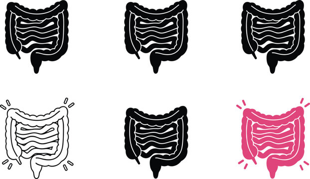 Human large intestine icon set digestive system organ vector illustration medical anatomy outline and solid design