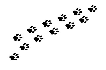 Animal Footprints Pattern