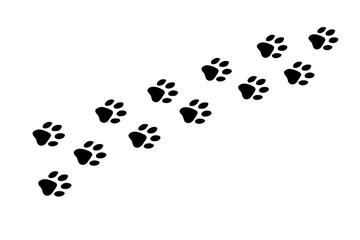 Simple Animal Footprints Trail