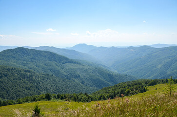 Obraz premium Rolling green mountains and forested valleys rise under a bright blue sky. Tranquil, expansive landscape invites exploration, nature, and outdoor adventure in a peaceful, scenic setting. Carpathians