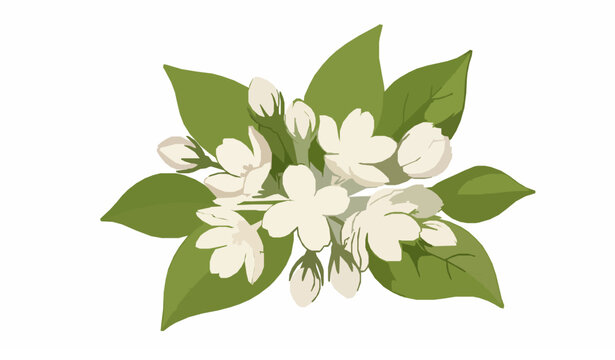Arabian jasmine flower clipart decorative vector set