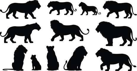 Lion silhouette collection, wild big cat poses set, black predator mammals, safari wildlife animal icons isolated white background © Hey World