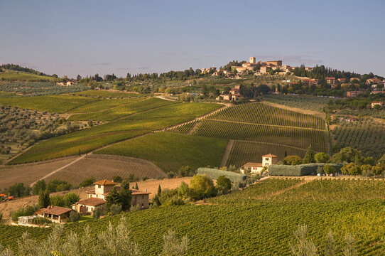 Italy, Tuscany, Panzano.  Hill town in the heart of Chianti wine country.