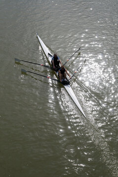 Canada, BC, Fort Langley.  Men rowing a double scull in the Head of the Fort rowing regatta.