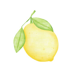 Lemon with leaves