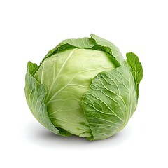 Obraz premium Fresh Green Cabbage with Crisp Leaves Isolated on White Background for Food Photography