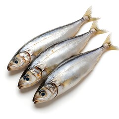 Obraz premium Fresh Silver Fish Arranged Neatly on a White Background for Culinary Presentation