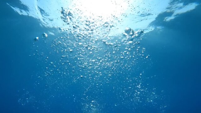 Scuba divers swim underwater towards the surface, surrounded by rising bubbles, with sunlight shining through the water's surface.