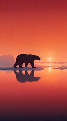 A solitary polar bear walks on ice during a vivid sunset, with its reflection visible in the calm water below.