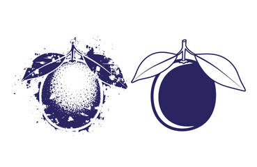 Grunge texture navy blue illustrations of lemons with leaves on white background  two different styles Vintage Style