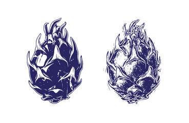 Grunge texture Two blue artistic illustrations of thistle heads in dark blue color on white background Vintage Style