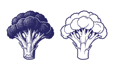 Grunge texture Two blue illustrations of cauliflower heads with stems on white background  vegetable graphics Vintage Style