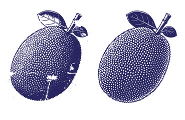 Grunge texture Two blue jackfruits with leaves on top on white background  illustration Vintage Style
