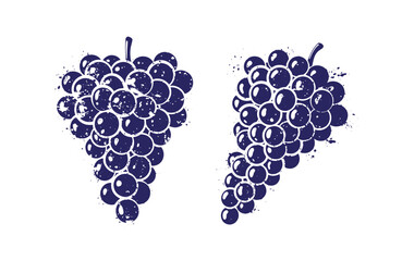 Grunge texture Two dark blue bunches of grapes with artistic splatters on white background Vintage Style