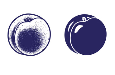 Grunge texture Two navy blue apples one stippled and one glossy on white background Vintage Style